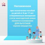 Фото к новости