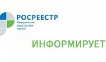 Фото к новости