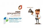 Фото к новости