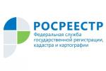 Фото к новости