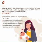 Фото к новости