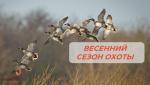 новость на сайт